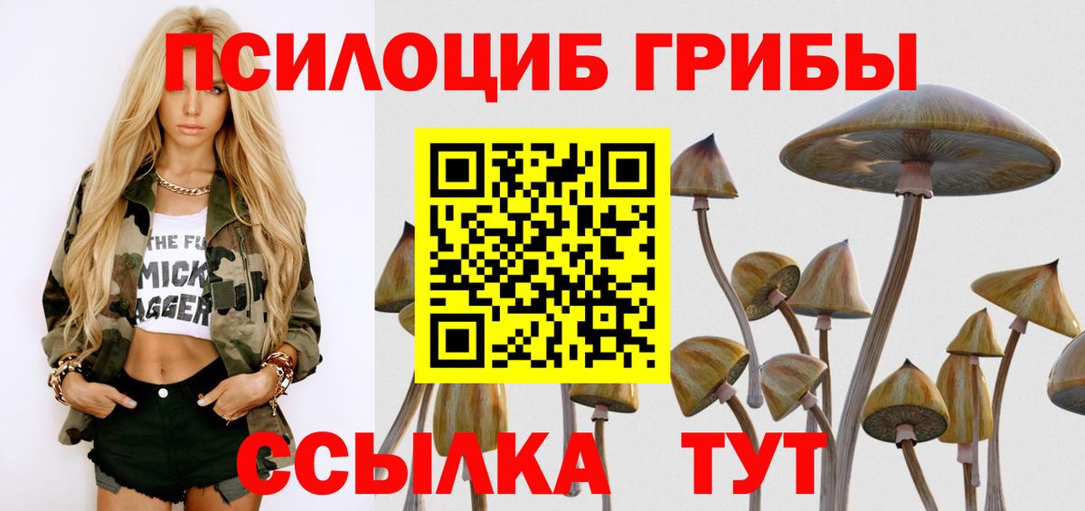 Псилоцибиновые грибы Magic Shrooms Волгоград