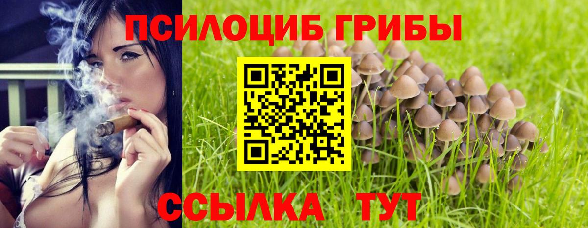 Псилоцибиновые грибы Magic Shrooms  наркотики  Волгоград  Псилоцибиновые грибы ЛСД  Вход с VPN 