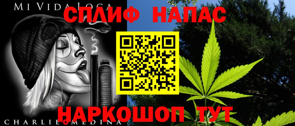 Каннабис план Волгоград